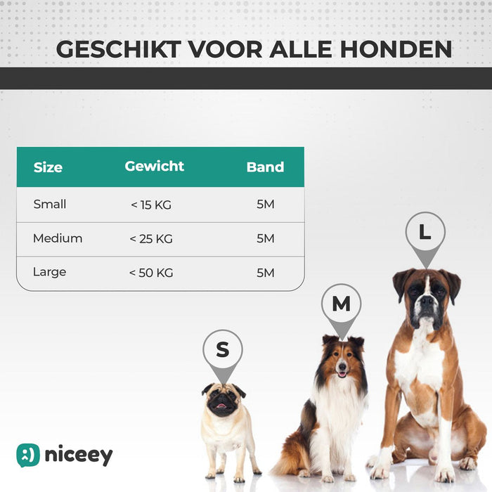 Laisse pour chien Niceey - 5 mètres - Rouge