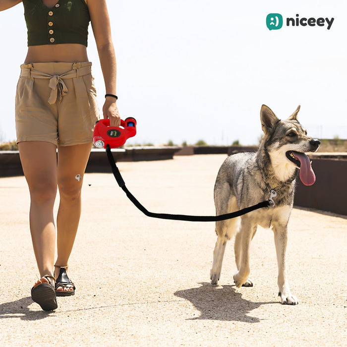 Laisse pour chien Niceey - 5 mètres - Rouge