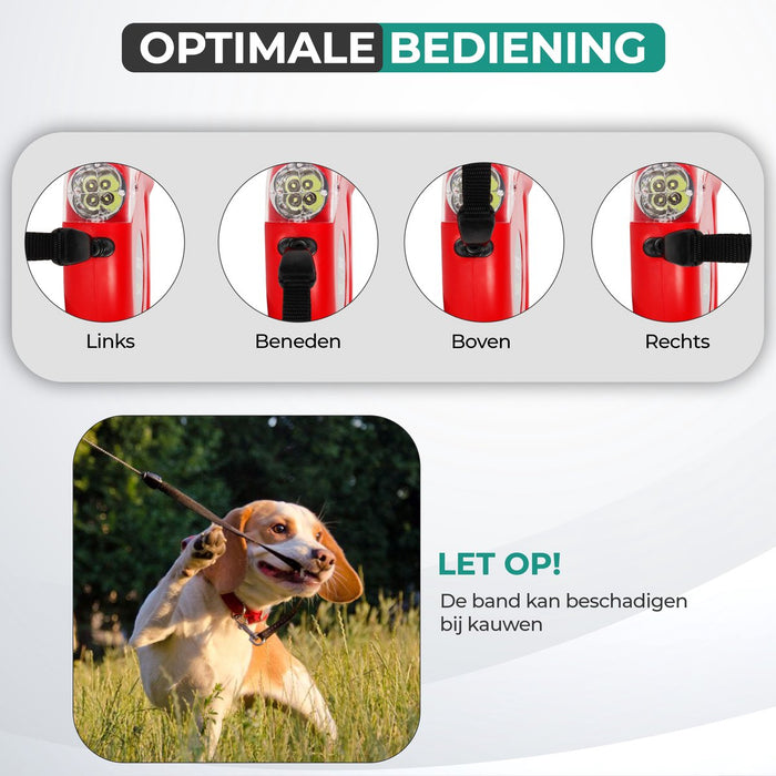 Laisse pour chien Niceey - 5 mètres - Rouge